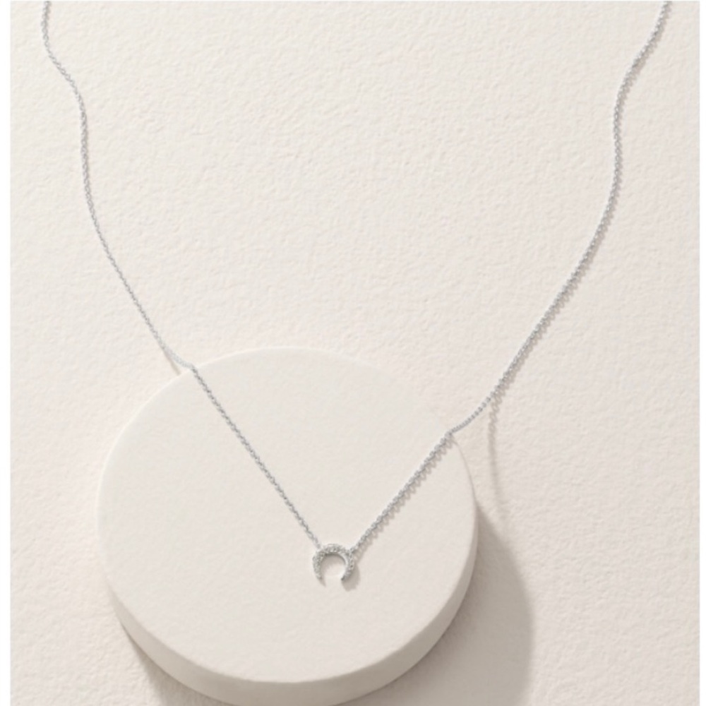 Stella & Dot Silver Pave Horn Necklace